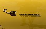 1969 Road Runner Thumbnail 25