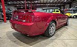 2005 Mustang GT Convertible Thumbnail 8