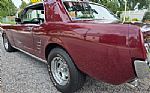 1966 Mustang Thumbnail 14