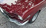 1966 Mustang Thumbnail 28