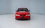 1995 Mustang SVT Cobra Thumbnail 4