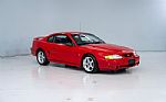 1995 Mustang SVT Cobra Thumbnail 6