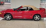 1994 Mustang Cobra Indy Pace Car Thumbnail 4
