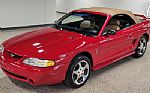 1994 Mustang Cobra Indy Pace Car Thumbnail 3