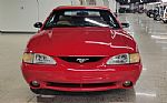 1994 Mustang Cobra Indy Pace Car Thumbnail 6