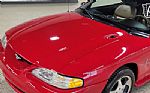 1994 Mustang Cobra Indy Pace Car Thumbnail 48