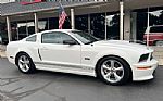 2007 Mustang Shelby Thumbnail 1