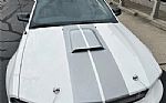 2007 Mustang Shelby Thumbnail 5