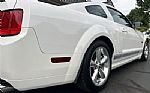 2007 Mustang Shelby Thumbnail 8