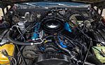 1981 Fleetwood Brougham Thumbnail 19