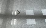 1969 Corvette Coupe Thumbnail 34