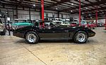 1979 Corvette Thumbnail 10