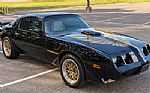 1981 TRANS AM Thumbnail 2