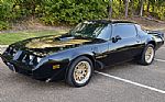 1981 TRANS AM Thumbnail 1