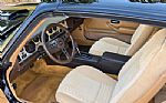 1981 TRANS AM Thumbnail 5