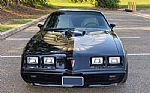 1981 TRANS AM Thumbnail 3
