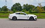 2016 Mustang Thumbnail 12