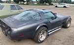 1981 Corvette Thumbnail 1