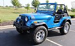 1978 CJ5 Thumbnail 24