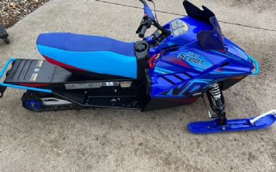 Photo of a 2025 Yamaha Snoscoot ES for sale