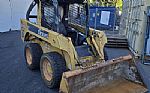 2007 317 Skid Steer Thumbnail 1
