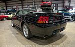 1999 Mustang SVT Cobra Convertible Thumbnail 6