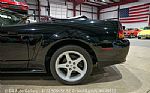 1999 Mustang SVT Cobra Convertible Thumbnail 5