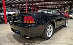 1999 Mustang SVT Cobra Convertible Thumbnail 8