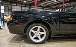 1999 Mustang SVT Cobra Convertible Thumbnail 9