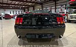 1999 Mustang SVT Cobra Convertible Thumbnail 7
