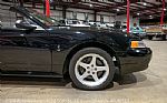 1999 Mustang SVT Cobra Convertible Thumbnail 11