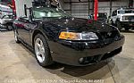 1999 Mustang SVT Cobra Convertible Thumbnail 12