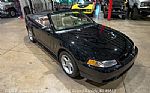 1999 Mustang SVT Cobra Convertible Thumbnail 14
