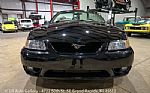 1999 Mustang SVT Cobra Convertible Thumbnail 13