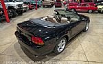 1999 Mustang SVT Cobra Convertible Thumbnail 17