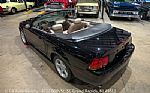1999 Mustang SVT Cobra Convertible Thumbnail 16