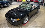 1999 Mustang SVT Cobra Convertible Thumbnail 15