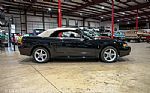 1999 Mustang SVT Cobra Convertible Thumbnail 25