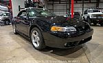1999 Mustang SVT Cobra Convertible Thumbnail 26