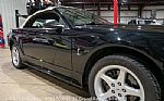 1999 Mustang SVT Cobra Convertible Thumbnail 47