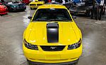 2004 Mustang Mach 1 Thumbnail 11