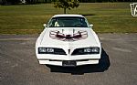 1977 Firebird Trans-Am Thumbnail 2