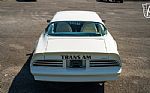 1977 Firebird Trans-Am Thumbnail 14