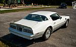 1977 Firebird Trans-Am Thumbnail 17