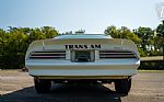 1977 Firebird Trans-Am Thumbnail 16