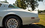 1977 Firebird Trans-Am Thumbnail 31