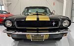 1965 Shelby GT350H Tribute Thumbnail 3
