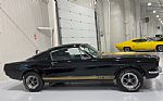 1965 Shelby GT350H Tribute Thumbnail 5