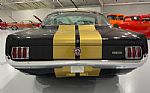1965 Shelby GT350H Tribute Thumbnail 7
