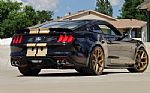 2019 GT350-H Thumbnail 7